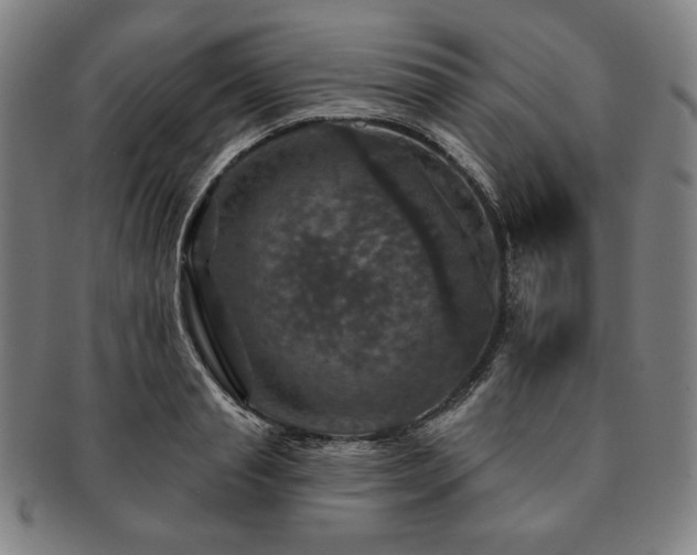 X0000091460845200708231315