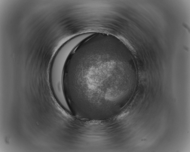 X0000091460846200708231315