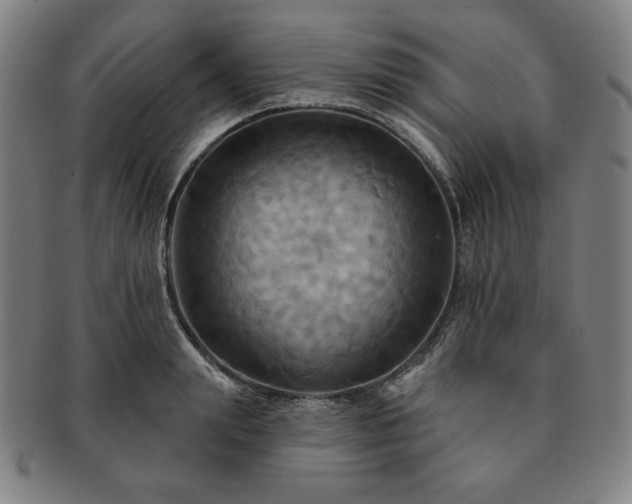 X0000091460847200708231315
