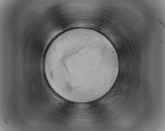 X0000091460848200708231315