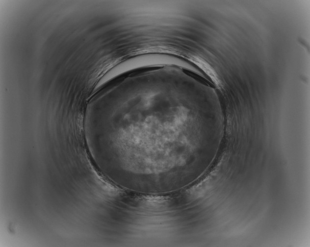 X0000091460849200708231315