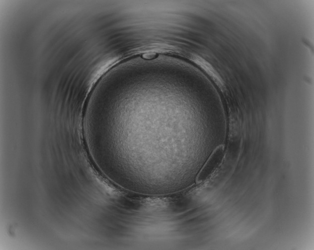 X0000091460850200708231315
