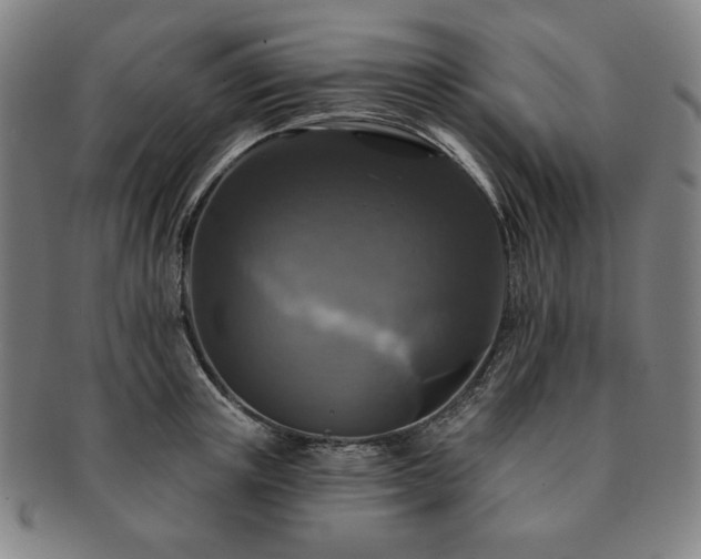 X0000091460851200708231315