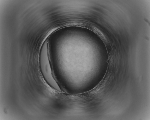 X0000091460852200708231315