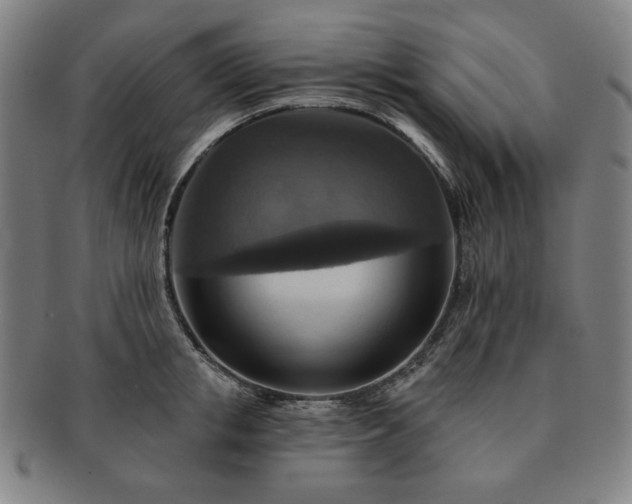 X0000091460853200708231315