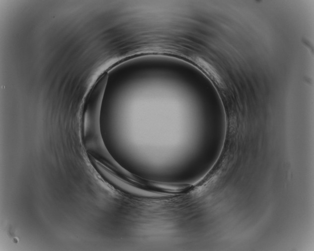 X0000091460854200708231315