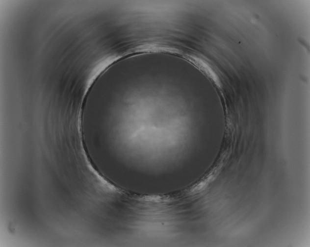 X0000091460855200708231315