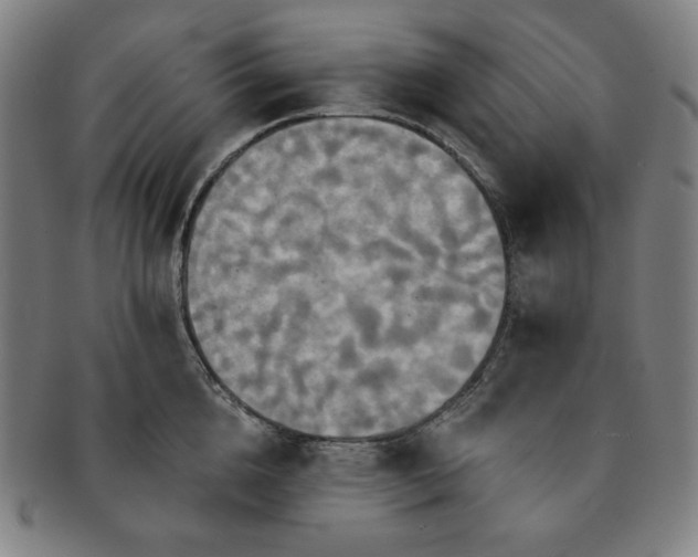 X0000091460856200708231315