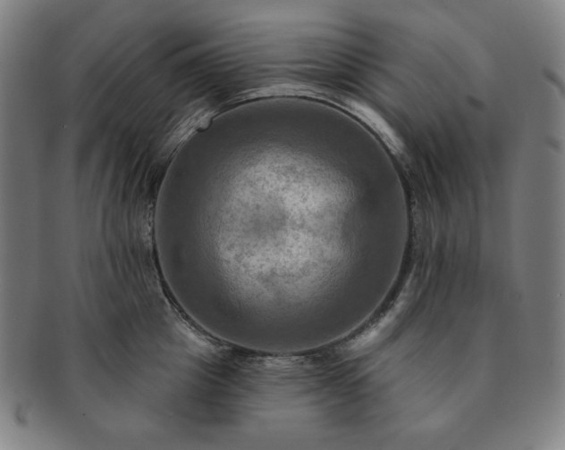 X0000091460857200708231315