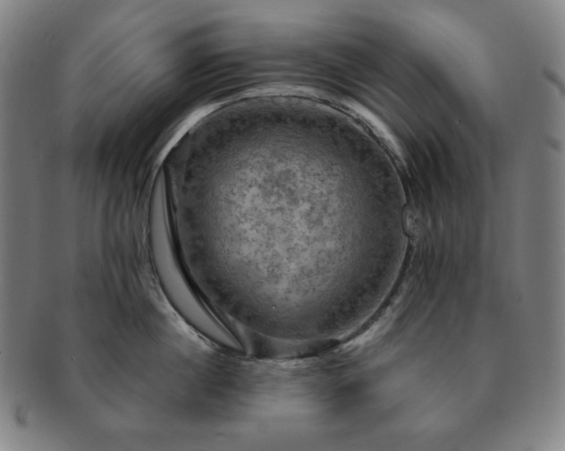 X0000091460860200708231315