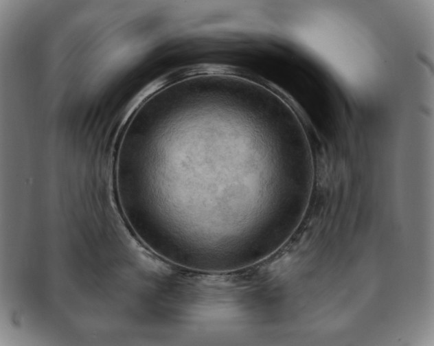 X0000091460861200708231315