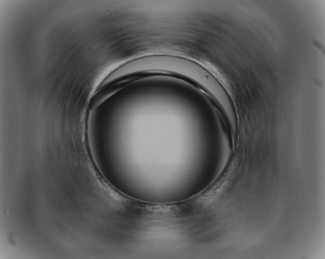 X0000091460862200708231315