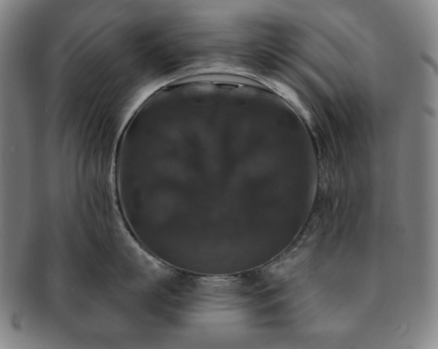 X0000091460863200708231315