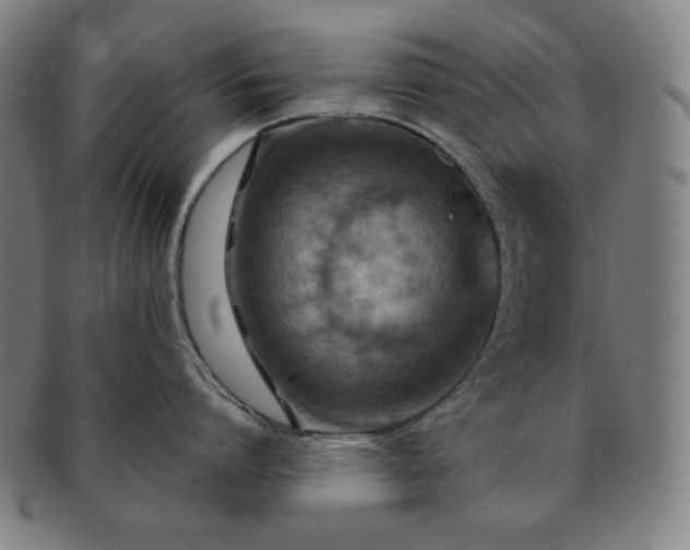 X0000091460864200708231315