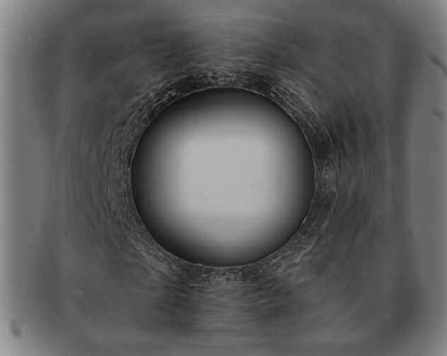 X0000091460865200708231314