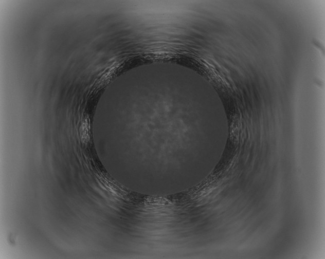 X0000091460866200708231314
