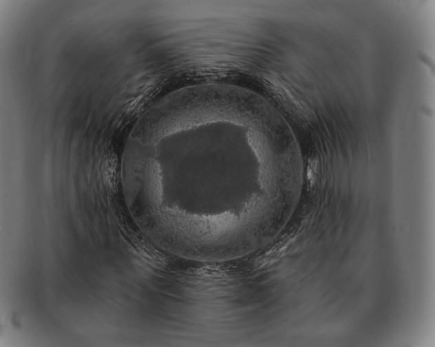X0000091460867200708231314