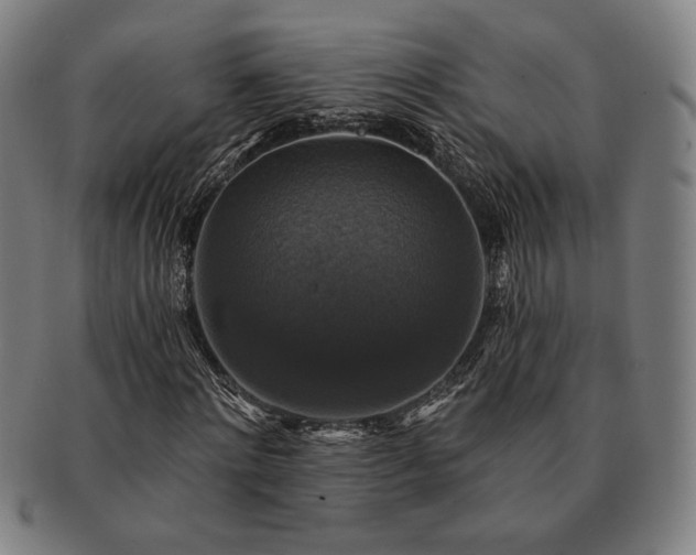 X0000091460868200708231314
