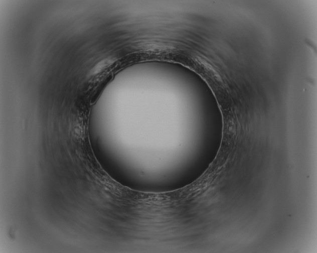 X0000091460869200708231314