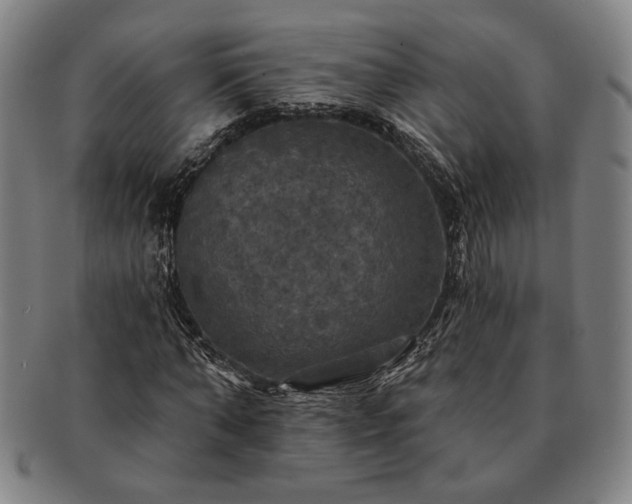 X0000091460870200708231314