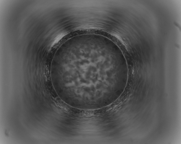 X0000091460871200708231314