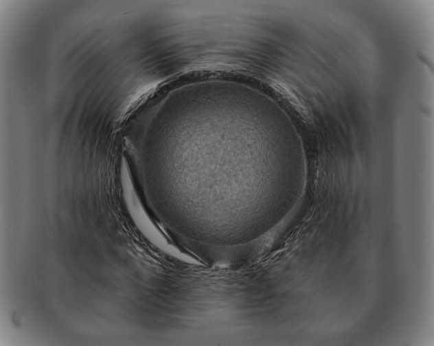 X0000091460872200708231314