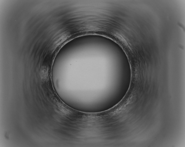 X0000091460873200708231314