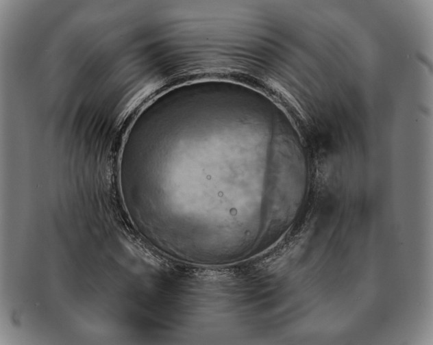 X0000091460874200708231314