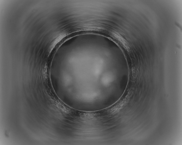 X0000091460875200708231314