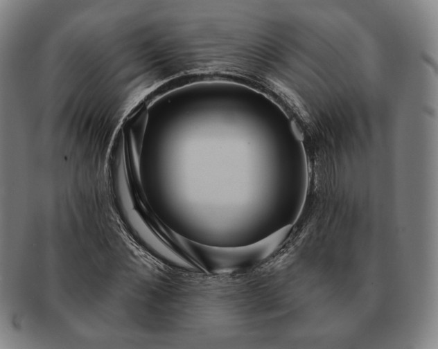 X0000091460876200708231314