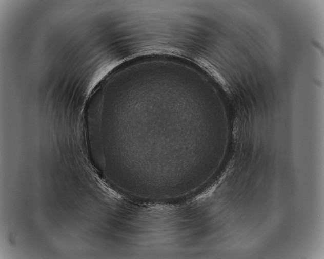 X0000091460877200708231314