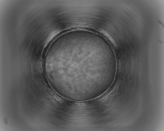 X0000091460878200708231314