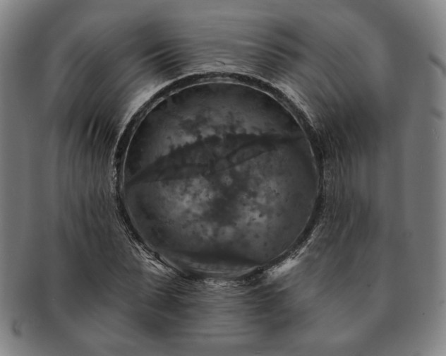 X0000091460879200708231314