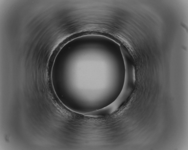 X0000091460880200708231314