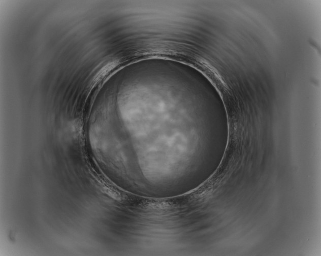 X0000091460882200708231314
