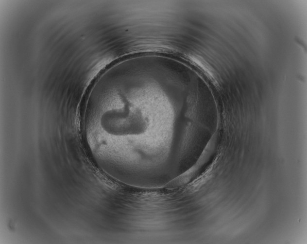 X0000091460883200708231314
