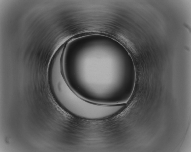 X0000091460884200708231314
