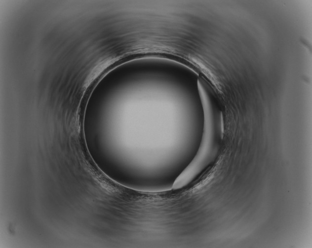 X0000091460885200708231314