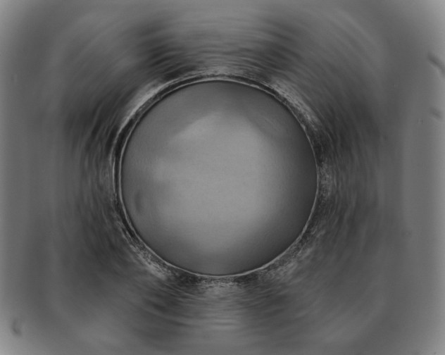 X0000091460886200708231314