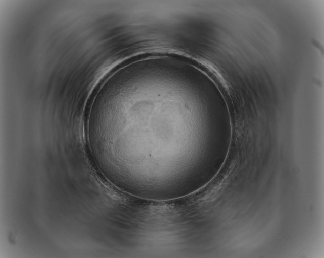 X0000091460887200708231314