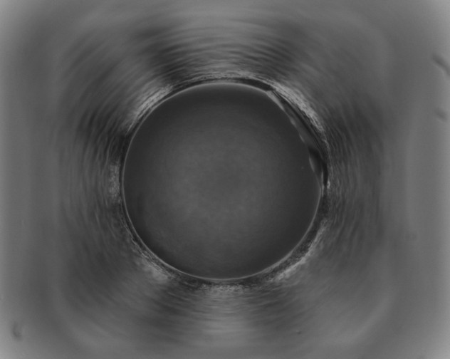 X0000091460889200708231314