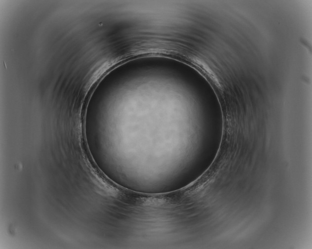 X0000091460890200708231314