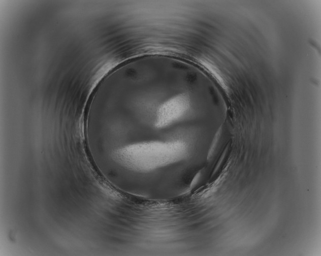 X0000091460891200708231314