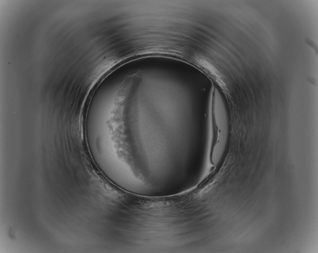 X0000091460892200708231314
