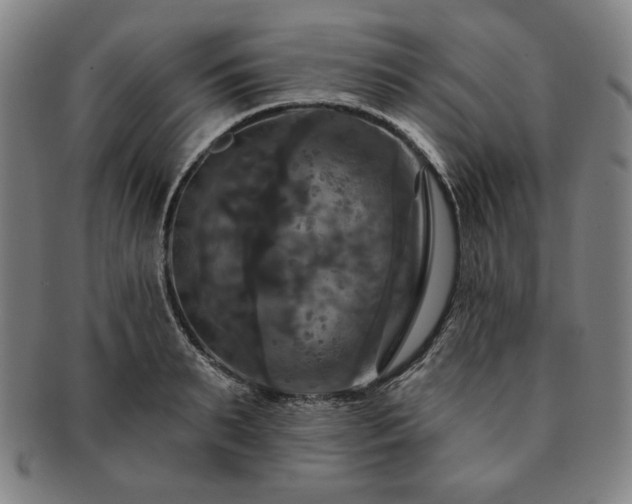 X0000091460895200708231314