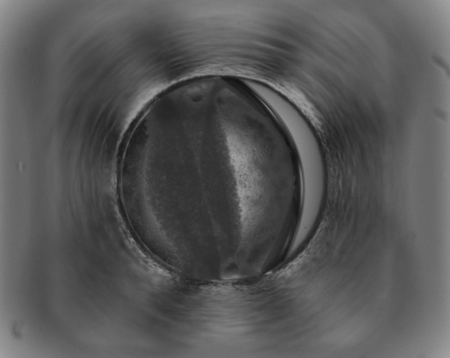 X0000091460896200708231314