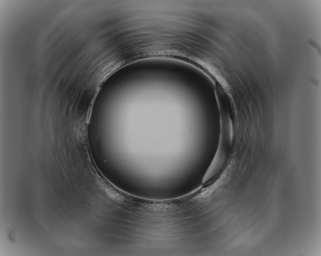 X0000091460897200708231314