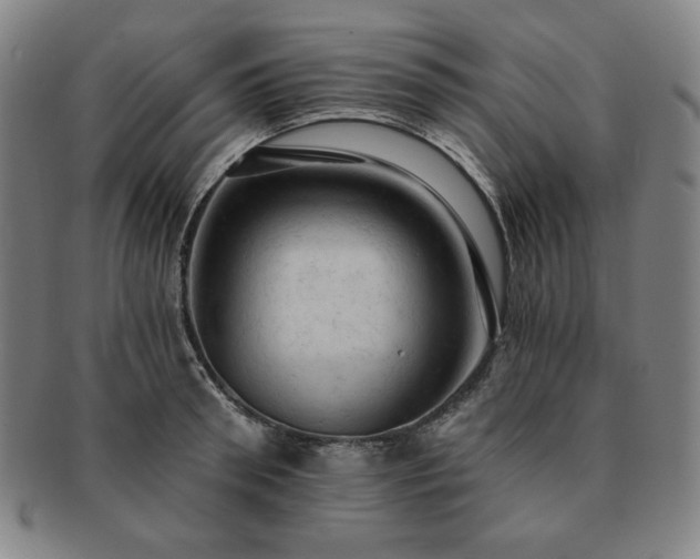 X0000091460898200708231314