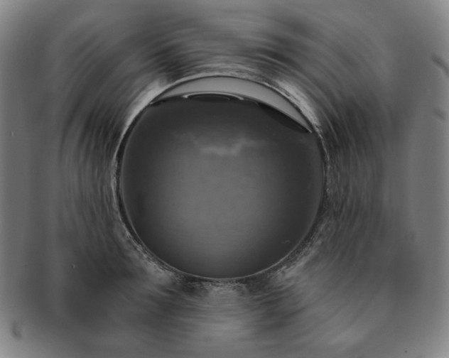 X0000091460899200708231314