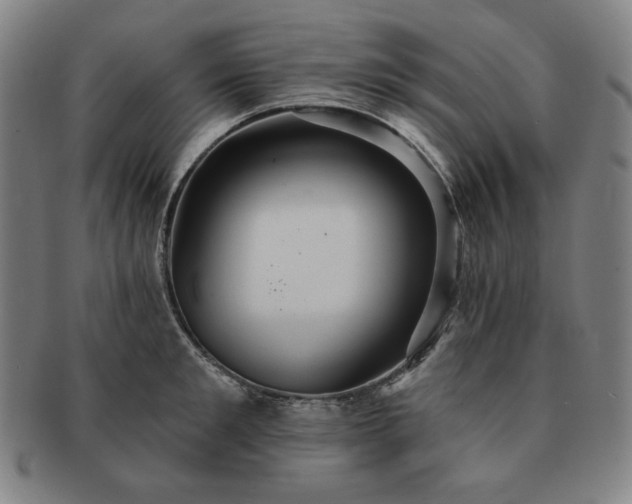 X0000091460901200708231314